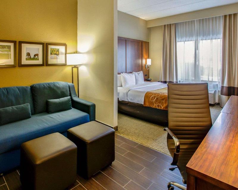 Comfort Suites Georgetown Area image