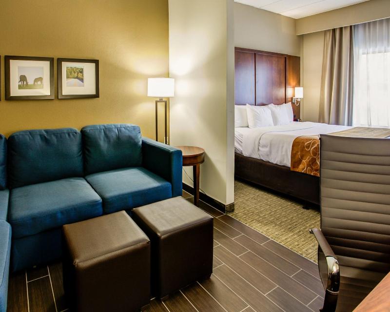 Comfort Suites Georgetown Area image