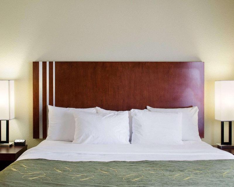 Comfort Suites Greenwood image