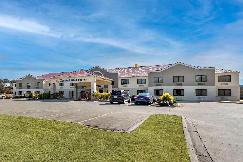 Comfort Inn & Suites Leeds I-20 image
