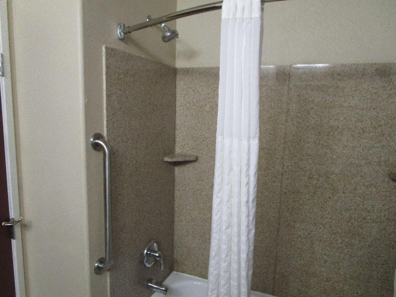 Best Western Morgan City Inn image