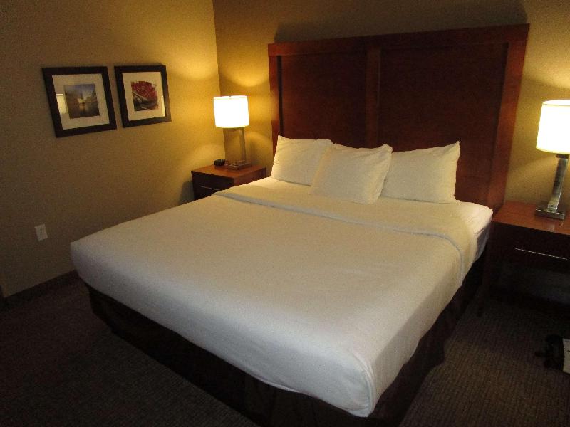 Best Western Morgan City Inn image