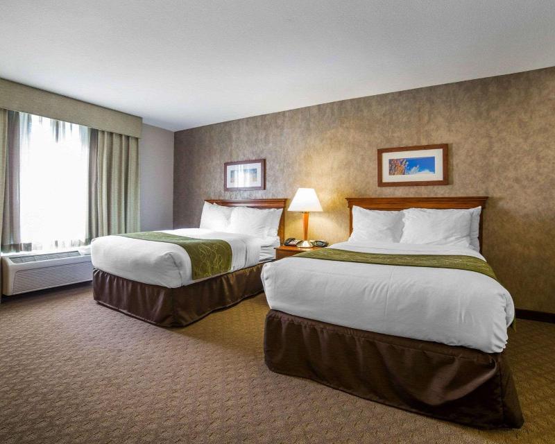 Comfort Suites Fernley image
