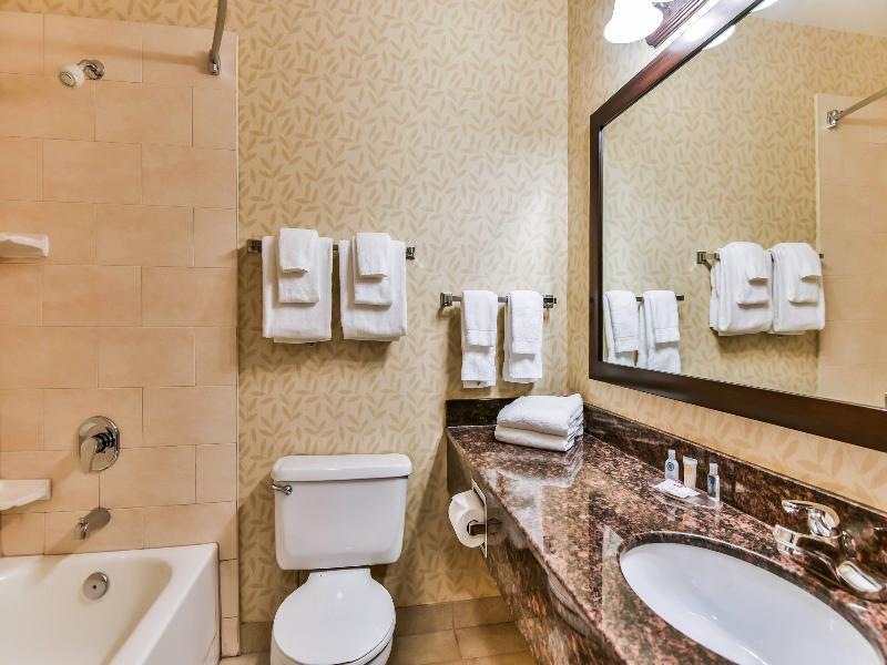 Comfort Inn & Suites Ambassador Bridge image