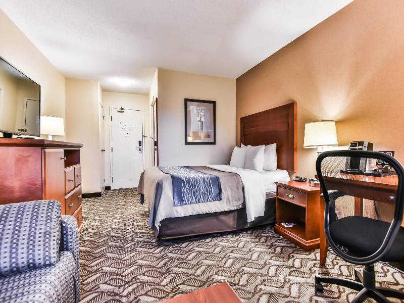 Comfort Inn & Suites Ambassador Bridge image