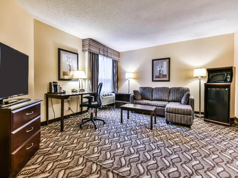 Comfort Inn & Suites Ambassador Bridge image