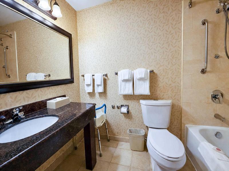 Comfort Inn & Suites Ambassador Bridge image
