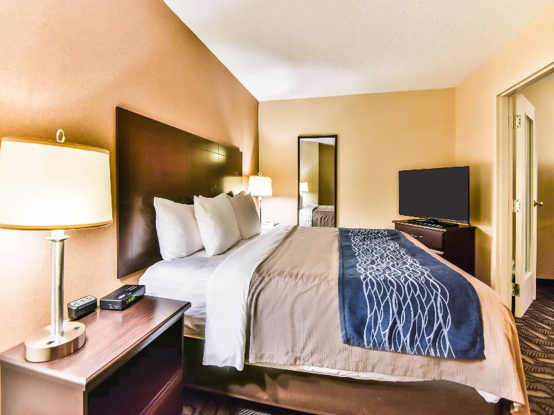 Comfort Inn & Suites Ambassador Bridge image