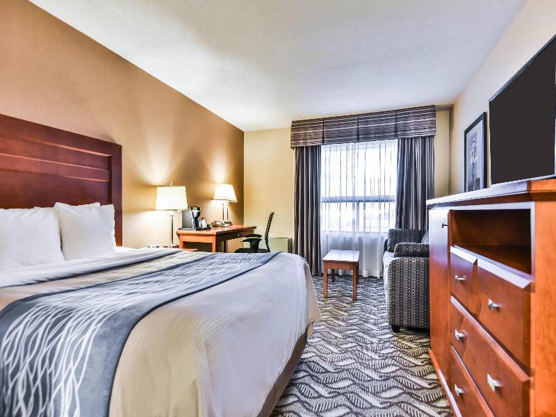 Comfort Inn & Suites Ambassador Bridge image