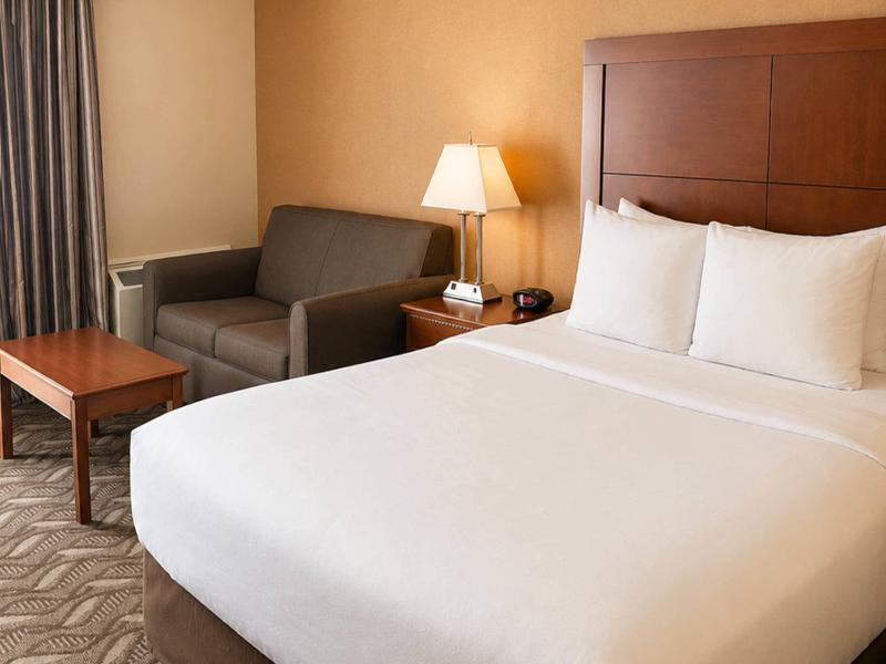 Comfort Inn & Suites Ambassador Bridge image