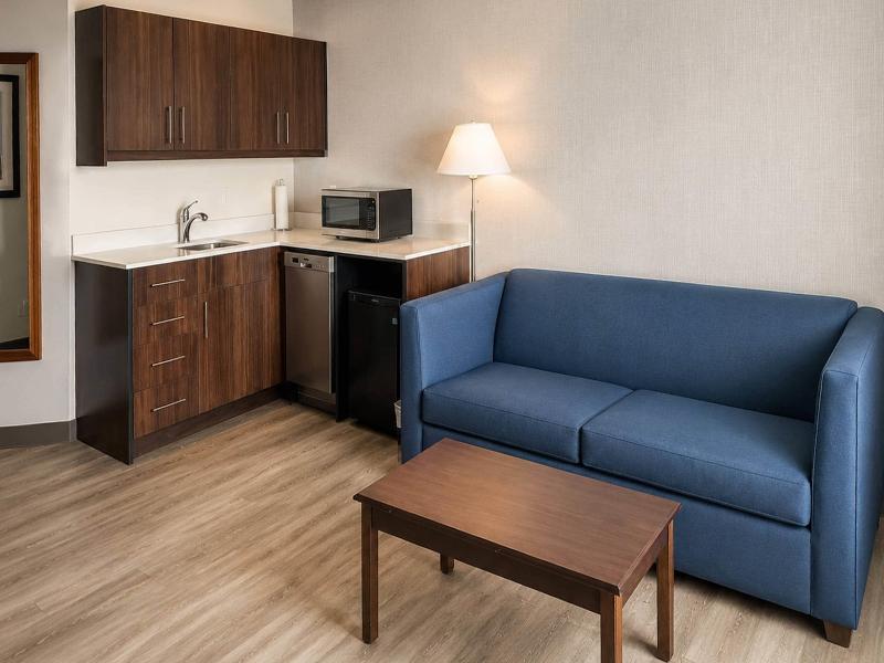 Comfort Inn & Suites Ambassador Bridge image