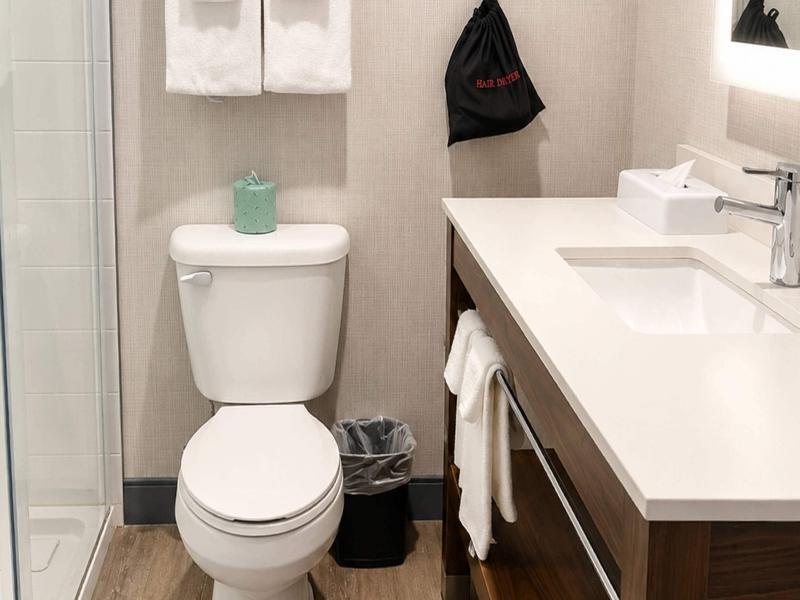 Comfort Inn & Suites Ambassador Bridge image