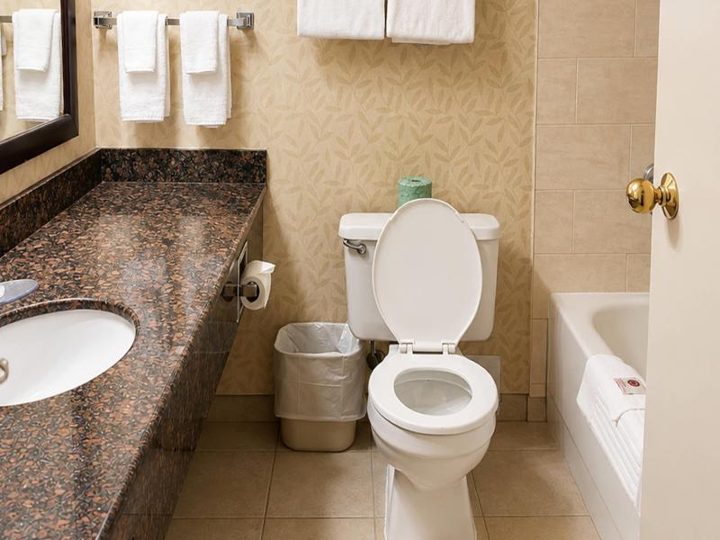 Comfort Inn & Suites Ambassador Bridge image