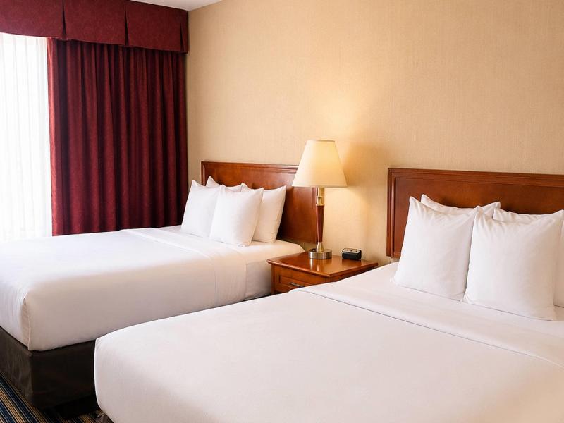 Comfort Inn & Suites Ambassador Bridge image