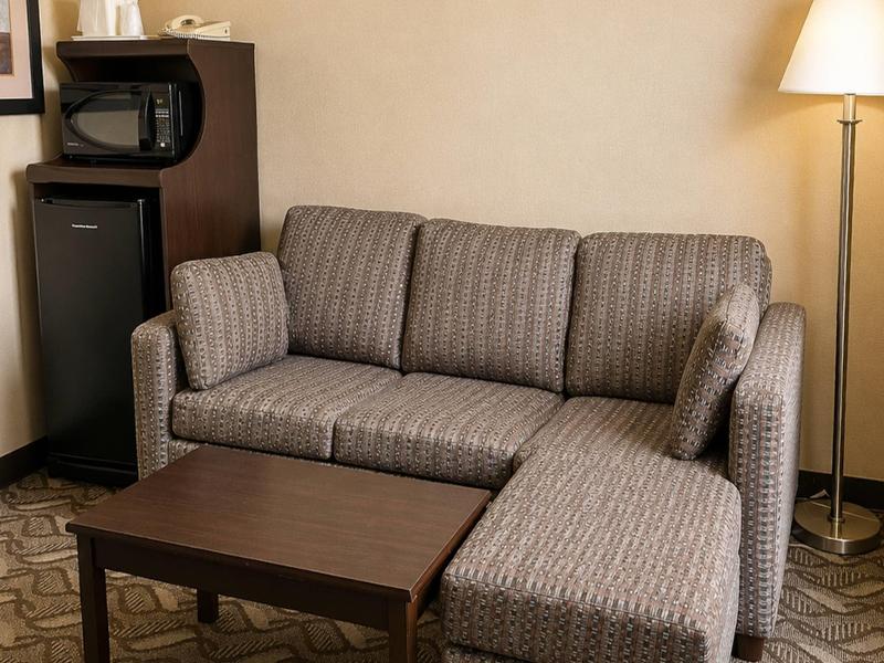 Comfort Inn & Suites Ambassador Bridge image