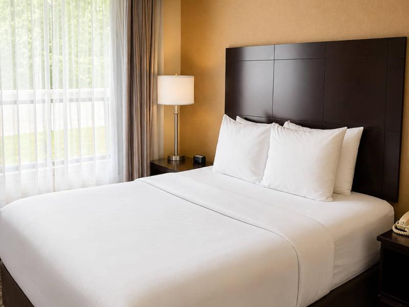 Comfort Inn & Suites Ambassador Bridge image