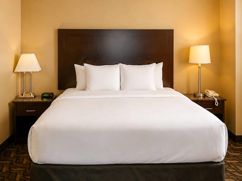 Comfort Inn & Suites Ambassador Bridge image