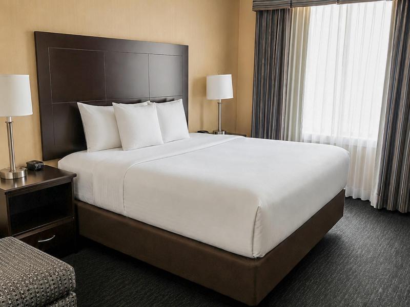 Comfort Inn & Suites Ambassador Bridge image