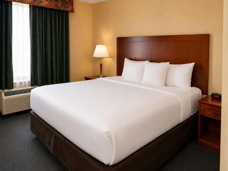 Comfort Inn & Suites Ambassador Bridge image