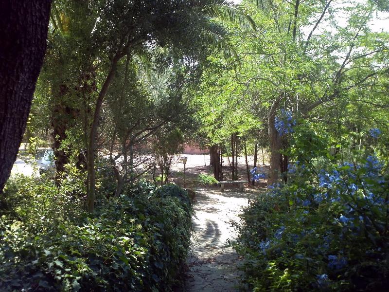 Abbaruja image