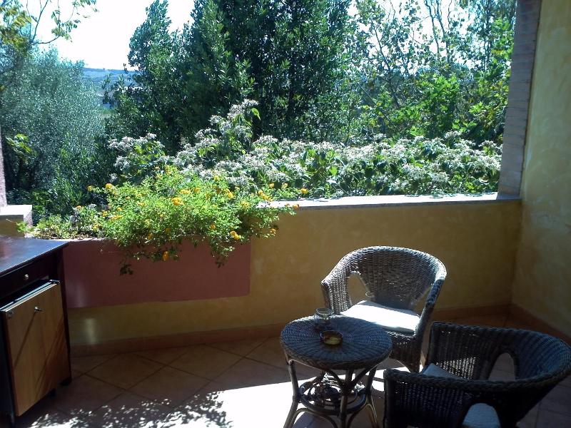 Abbaruja image