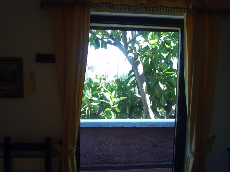 Abbaruja image
