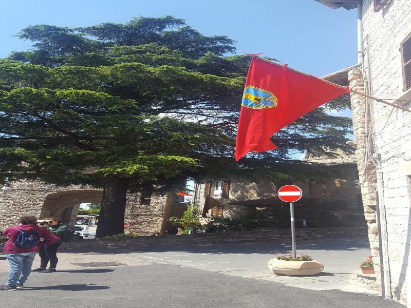Hotel San Pietro image