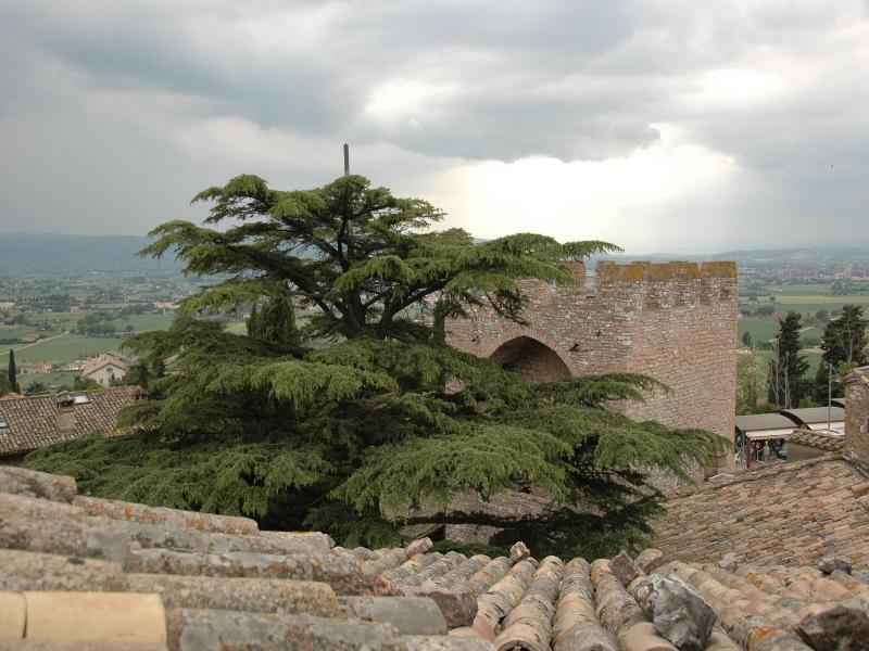 Hotel San Pietro image
