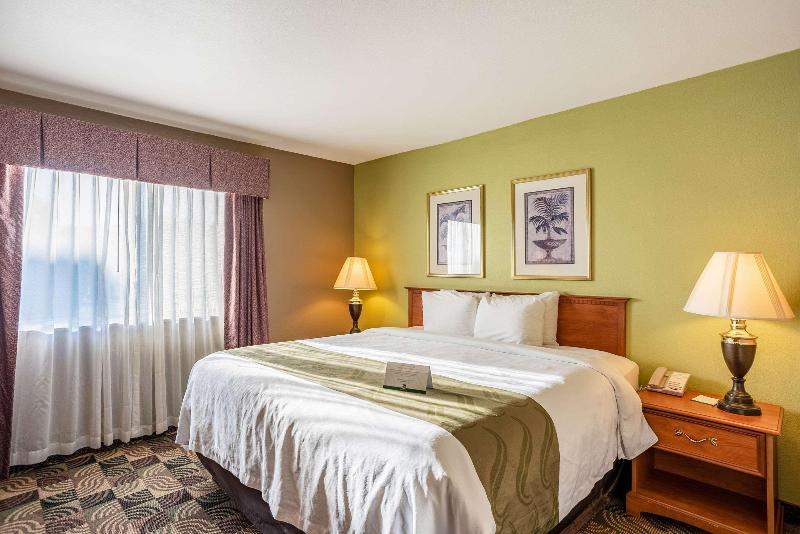 Quality Inn & Suites Mississippi River image