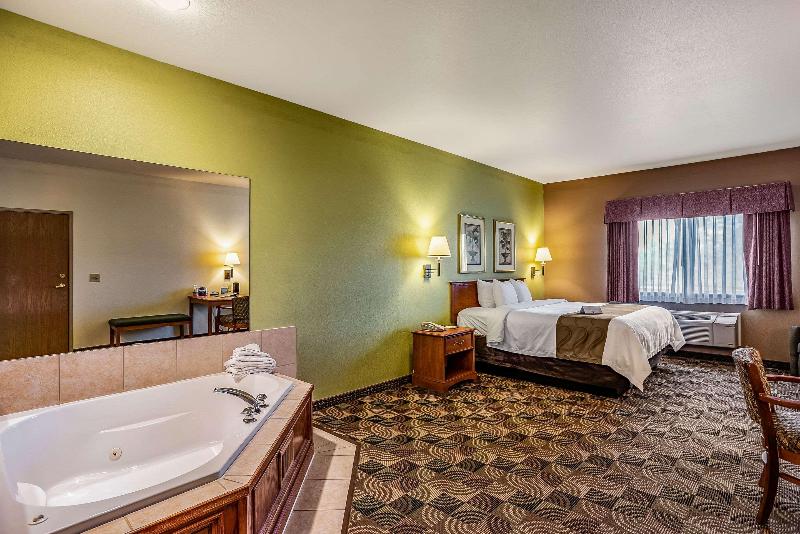 Quality Inn & Suites Mississippi River image