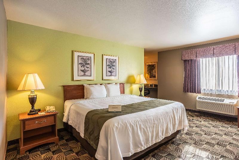 Quality Inn & Suites Mississippi River image