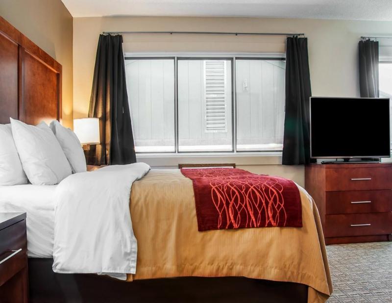 Comfort Inn North image
