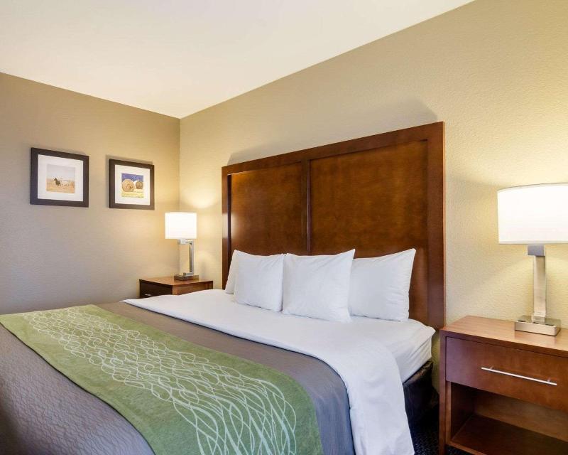 Comfort Inn Garden City Area image