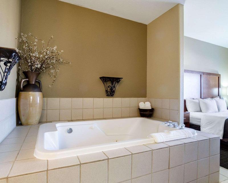Comfort Inn Garden City Area image