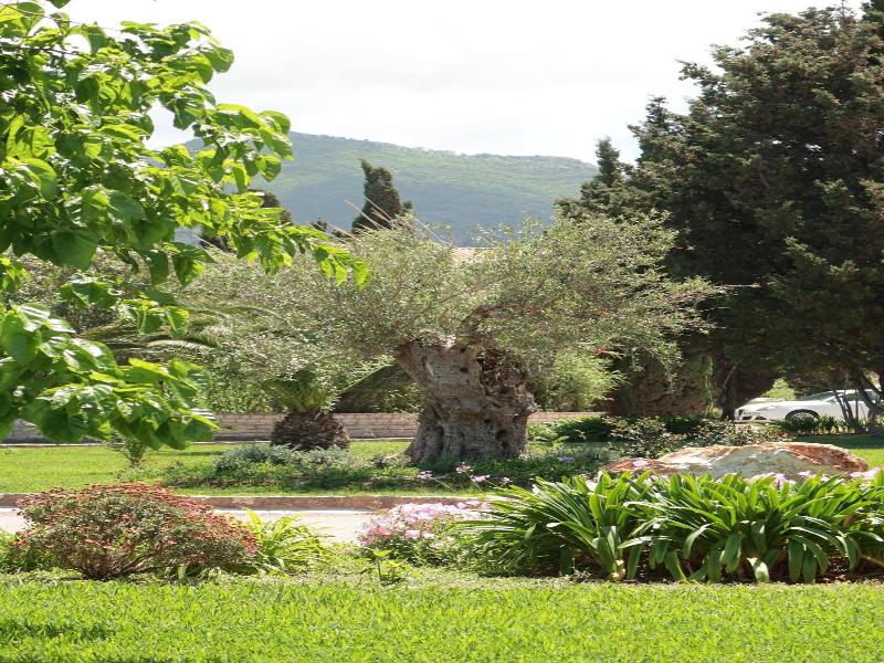 St. George's Bay image