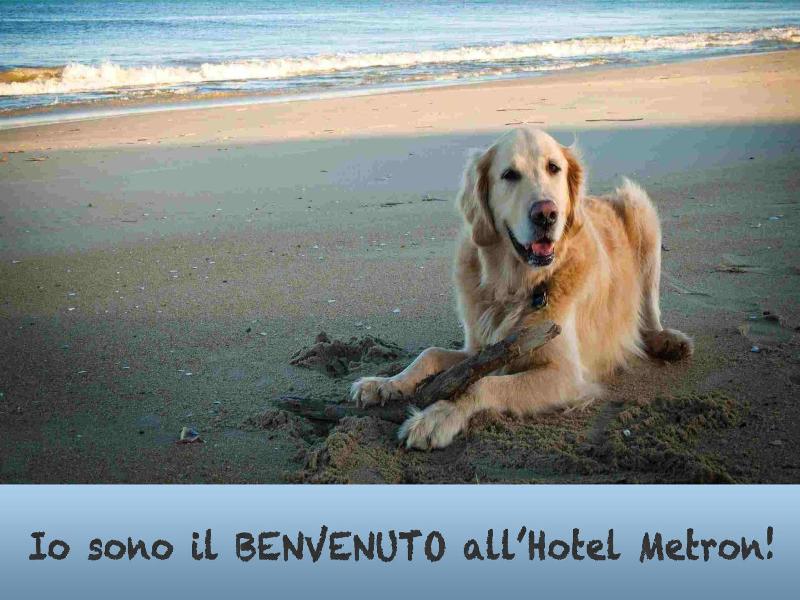 Metron Hotel image