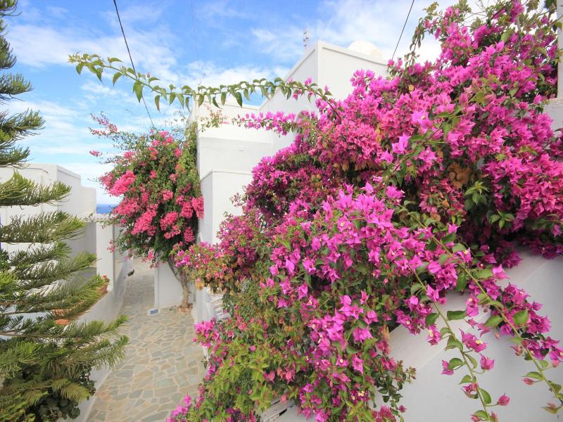 Galini Oia image
