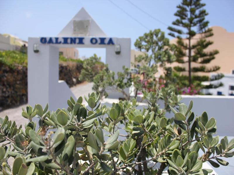 Galini Oia image