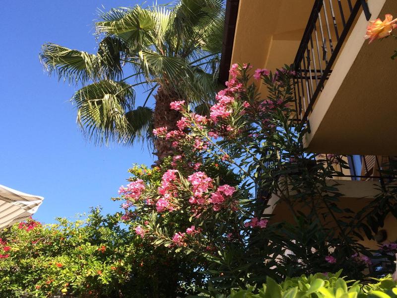 Villa Danlin Hotel image