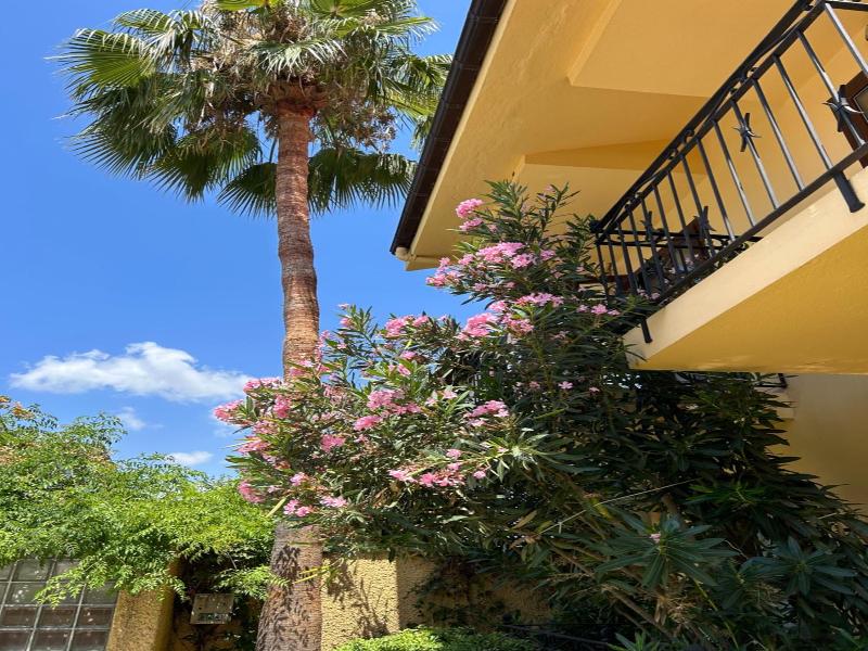 Villa Danlin Hotel image