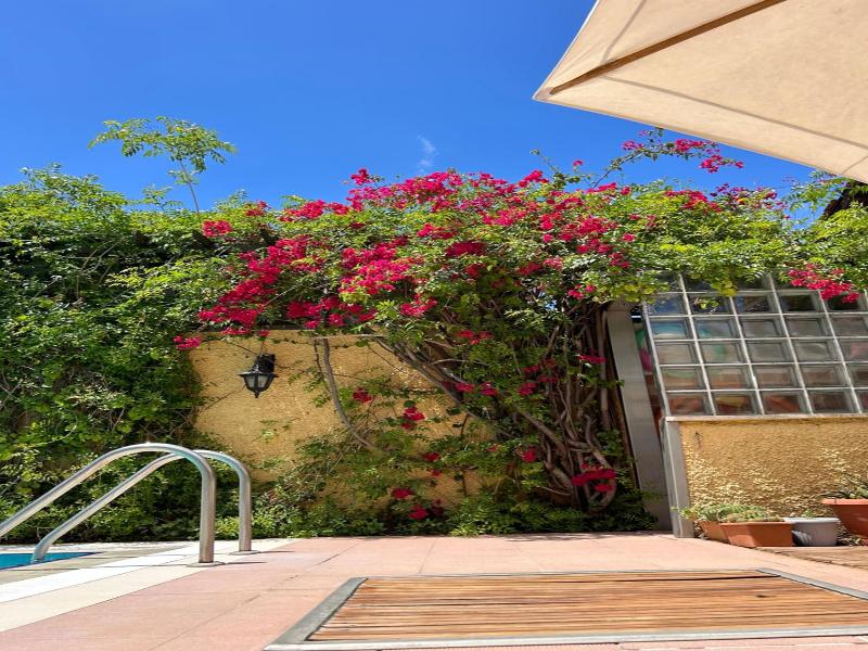 Villa Danlin Hotel image