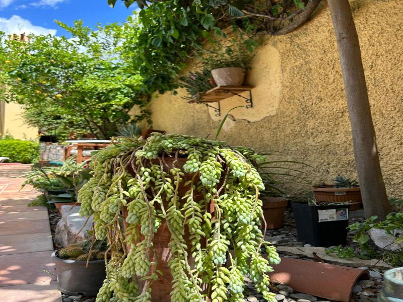 Villa Danlin Hotel image