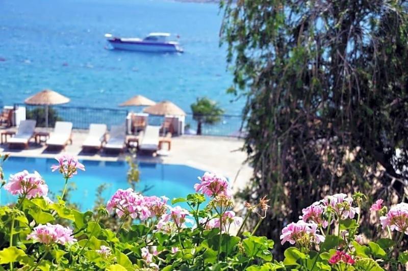 Omar Hotel image