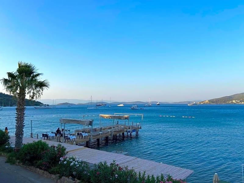 Omar Hotel image