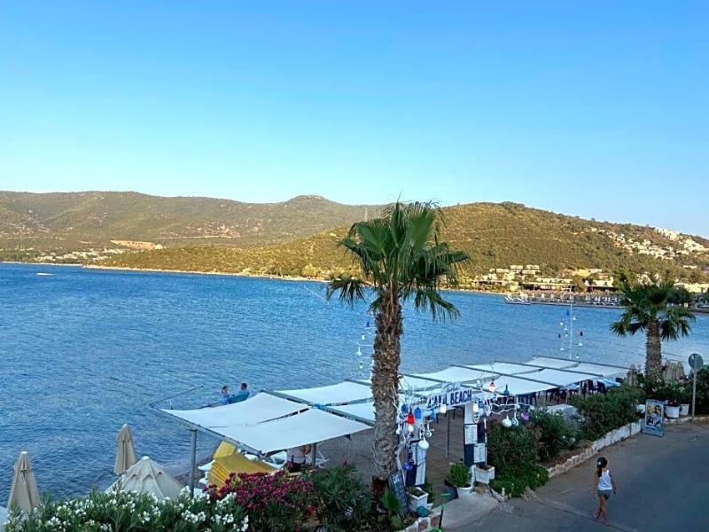 Omar Hotel image