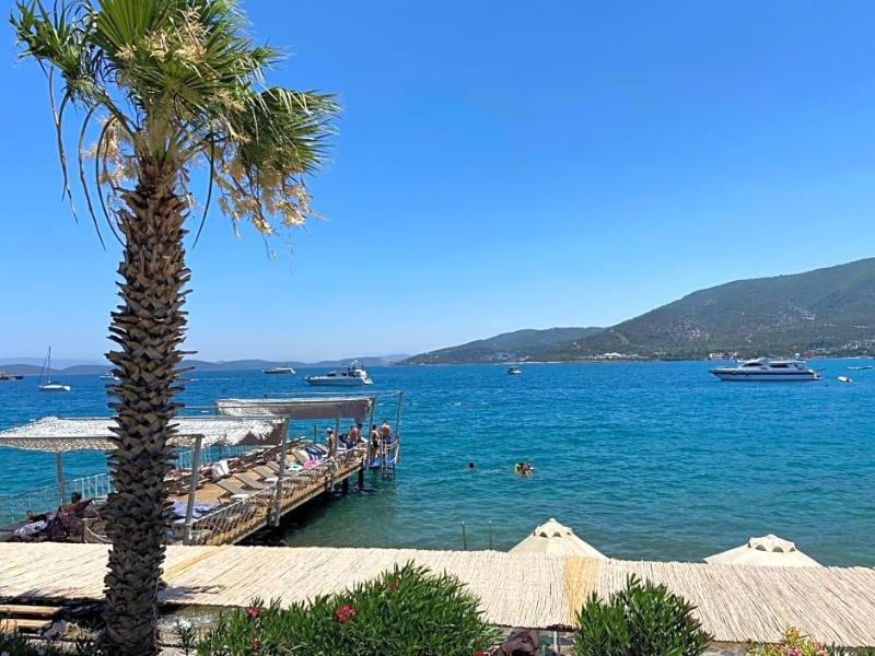 Omar Hotel image