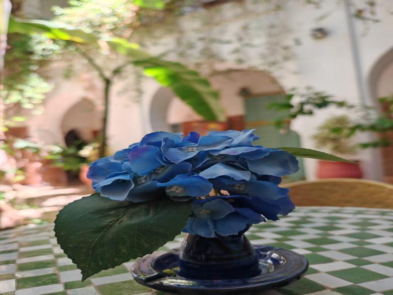 Riad Dar Bounouar image