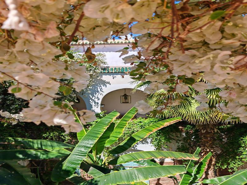 Riad Dar Bounouar image