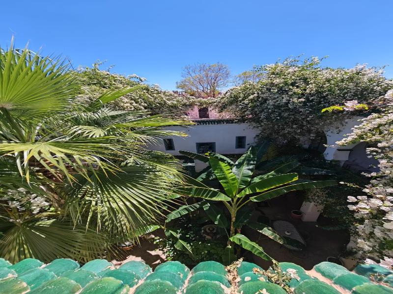 Riad Dar Bounouar image