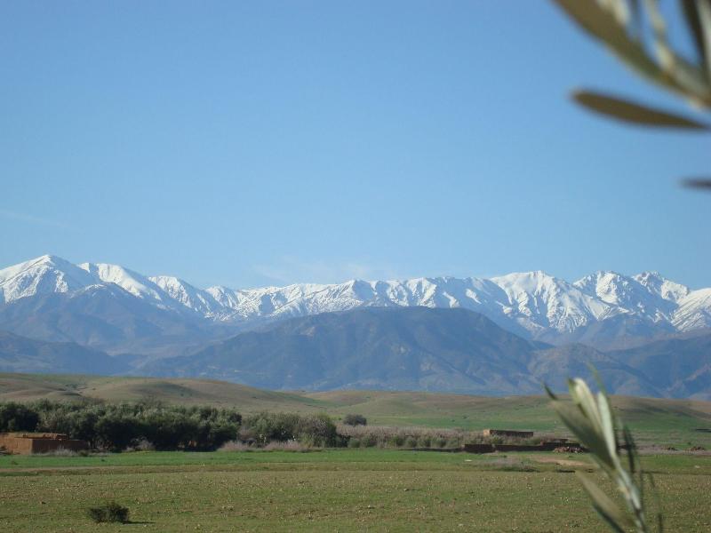 Jnane Tihihit image